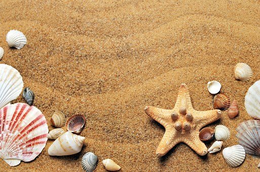 Protéger les cheveux pour la plage